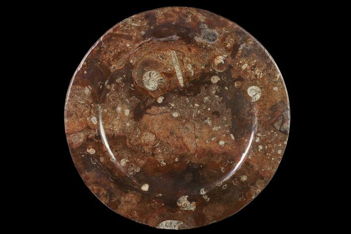 Fossil Orthoceras & Goniatite Round Plate - Stoneware #140058